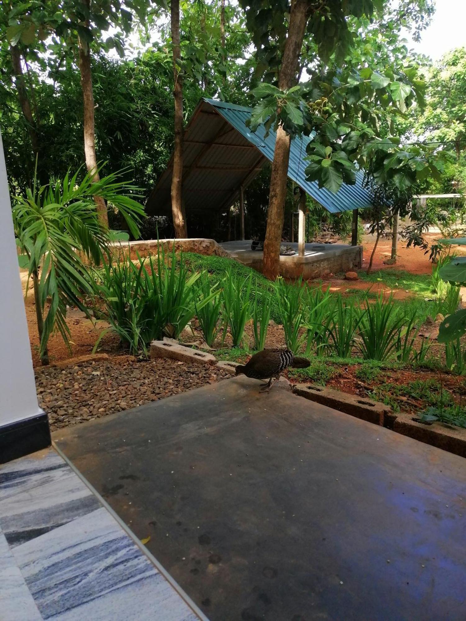 Malwathu Oya Forest Garden Guest house Anuradhapura