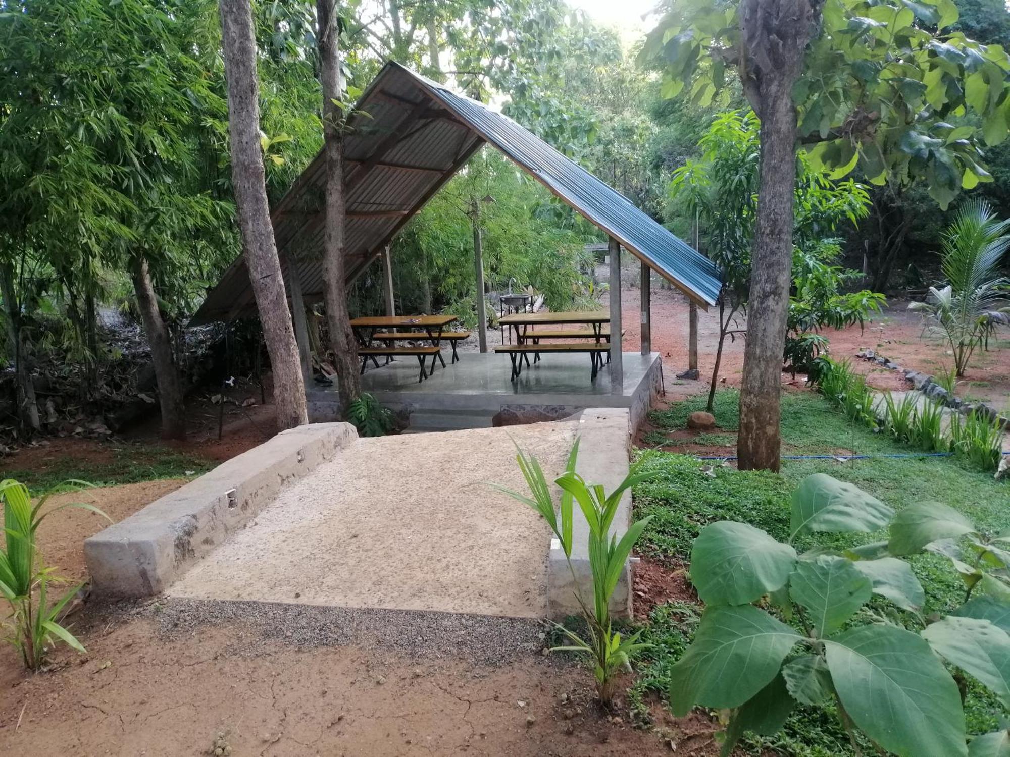 Malwathu Oya Forest Garden Anuradhapura