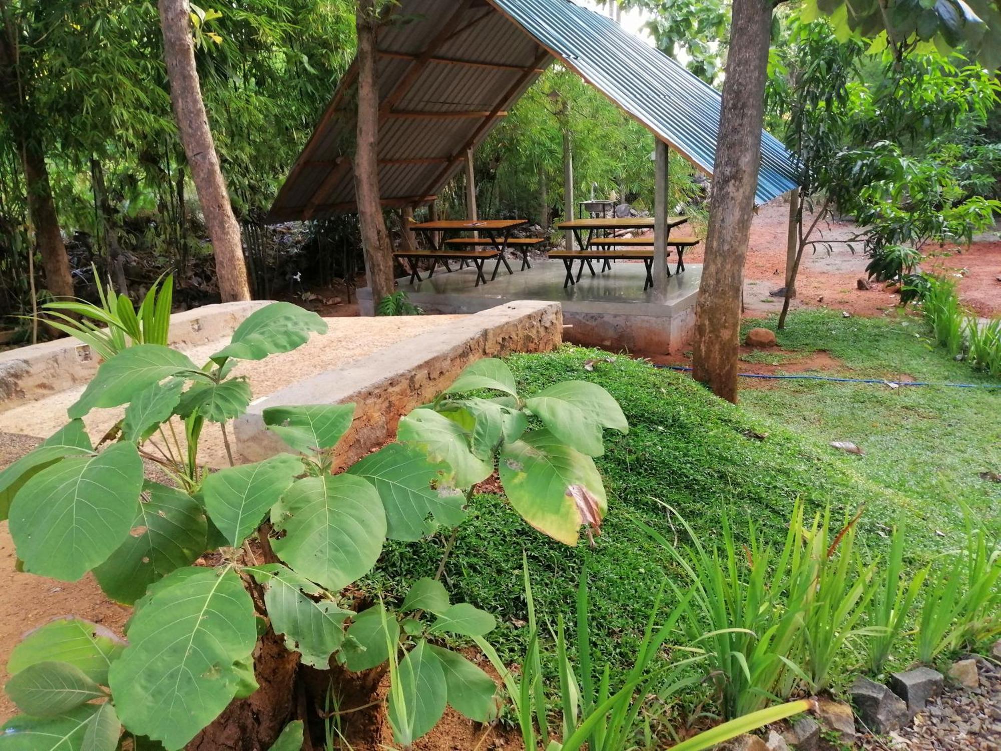 Malwathu Oya Forest Garden Guest house
